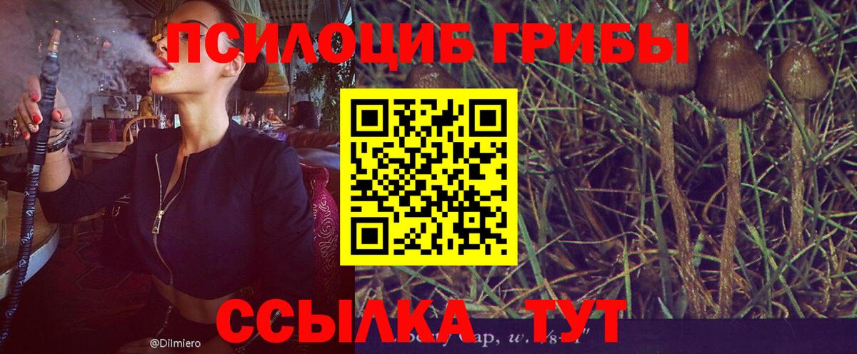 Волжск  Псилоцибиновые грибы MAGIC MUSHROOMS  Вход с VPN 